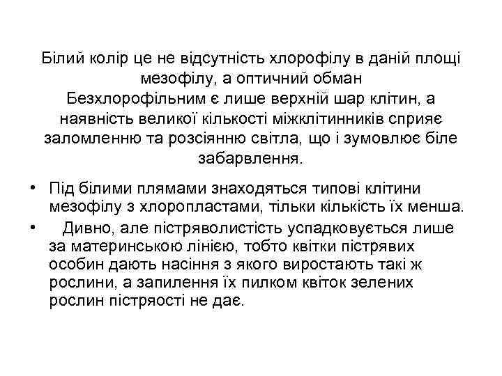 Білий колір це не відсутність хлорофілу в даній площі мезофілу, а оптичний обман Безхлорофільним
