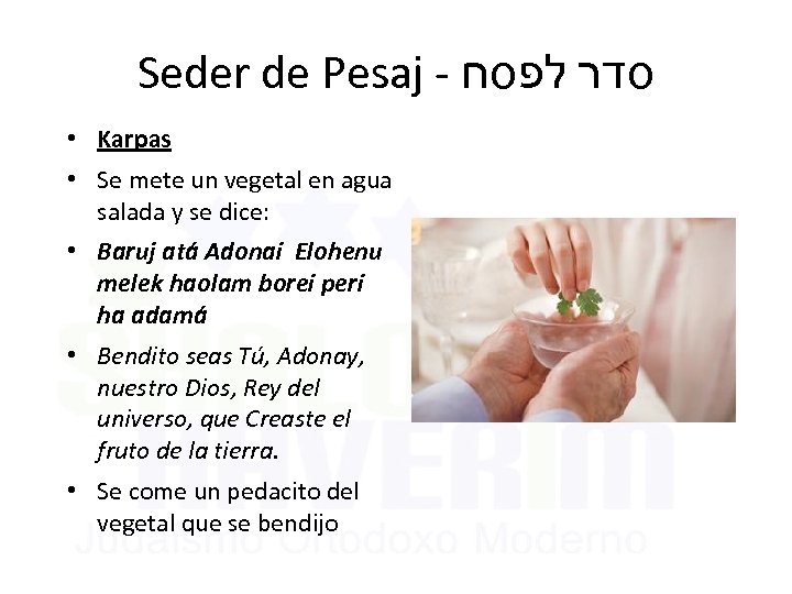 Seder de Pesaj - סדר לפסח • Karpas • Se mete un vegetal en