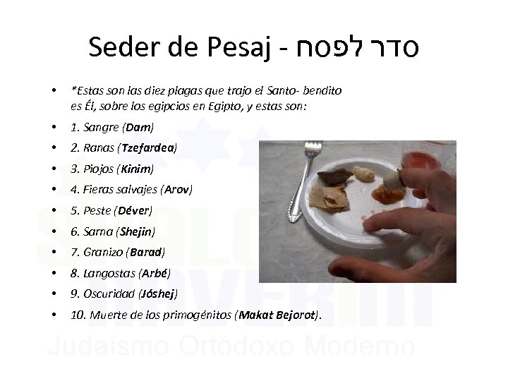 Seder de Pesaj - סדר לפסח • *Estas son las diez plagas que trajo