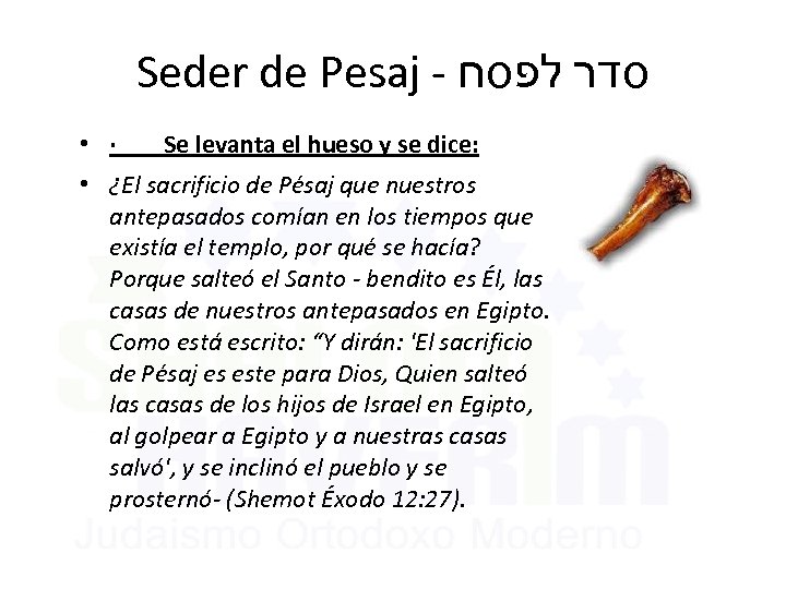 Seder de Pesaj - סדר לפסח • · Se levanta el hueso y se