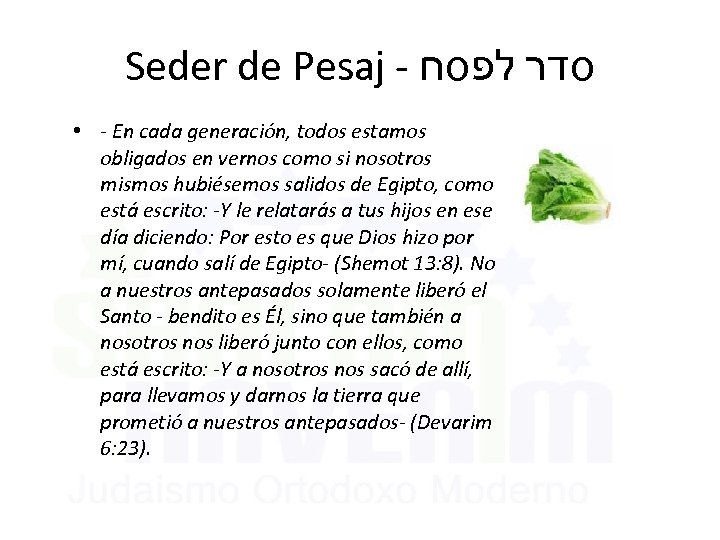 Seder de Pesaj - סדר לפסח • - En cada generación, todos estamos obligados