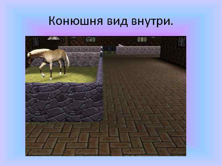 Конюшня вид внутри. 