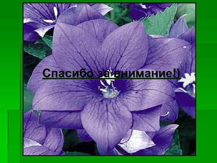 Спасибо за внимание!) 