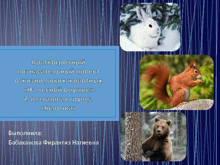 Краткосрочный познавательный проект о жизни диких животных «На лесной опушке» 2 -я младшая группа