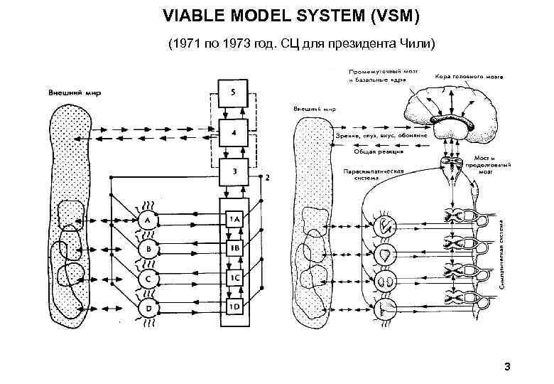 VIABLE MODEL SYSTEM (VSM) (1971 по 1973 год. СЦ для президента Чили) 3 