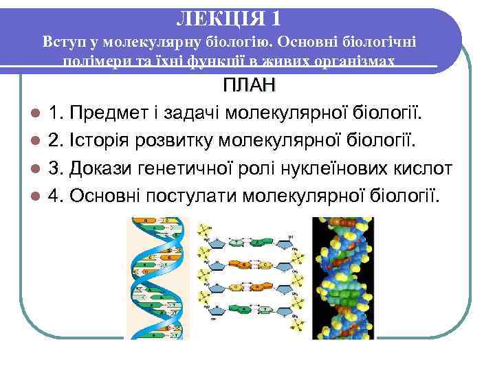 ЛЕКЦІЯ 1 Вступ у молекулярну біологію. Основні біологічні полімери та їхні функції в живих