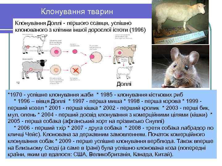 Клонування тварин Клонування Доллі - першого ссавця, успішно клонованого з клітини іншої дорослої істоти