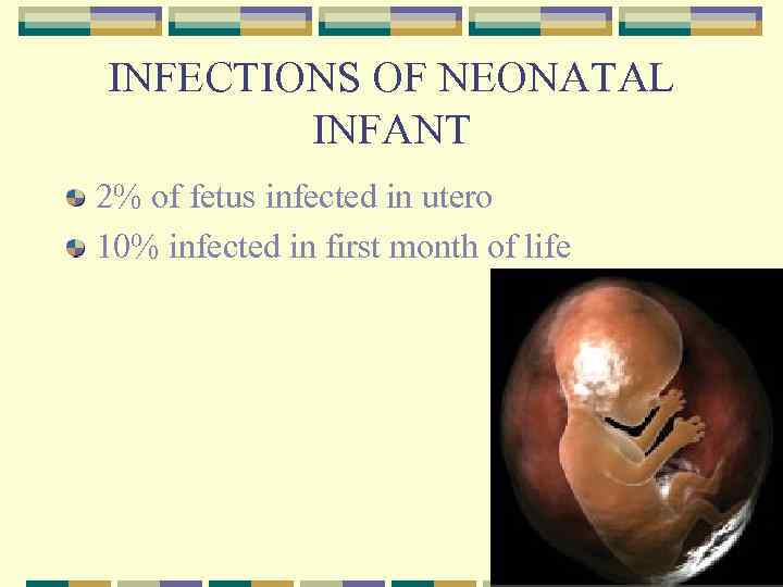 INFECTIONS OF NEONATAL INFANT 2% of fetus infected in utero 10% infected in first