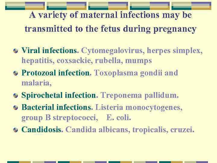 A variety of maternal infections may be transmitted to the fetus during pregnancy Viral