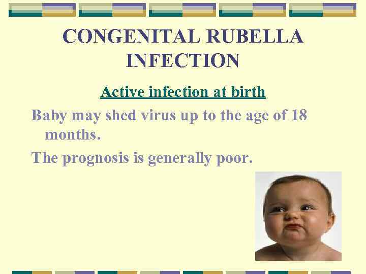 CONGENITAL RUBELLA INFECTION Active infection at birth Baby may shed virus up to the