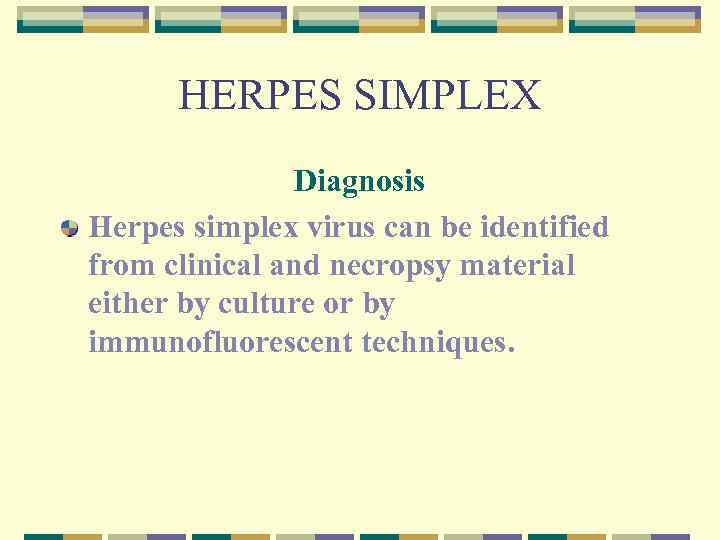 HERPES SIMPLEX Diagnosis Herpes simplex virus can be identified from clinical and necropsy material