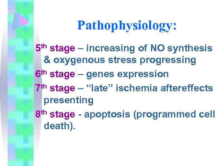 Pathophysiology: 5 th stage – increasing of NO synthesis & oxygenous stress progressing 6