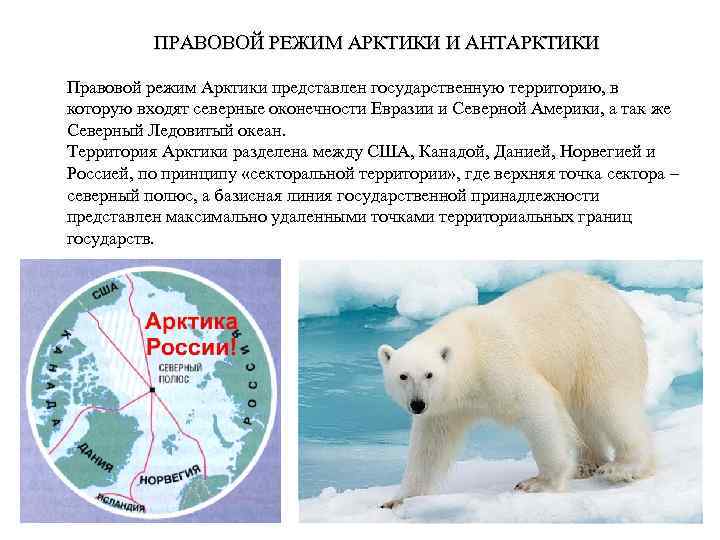 ПРАВОВОЙ РЕЖИМ АРКТИКИ И АНТАРКТИКИ Правовой режим Арктики представлен государственную территорию, в которую входят