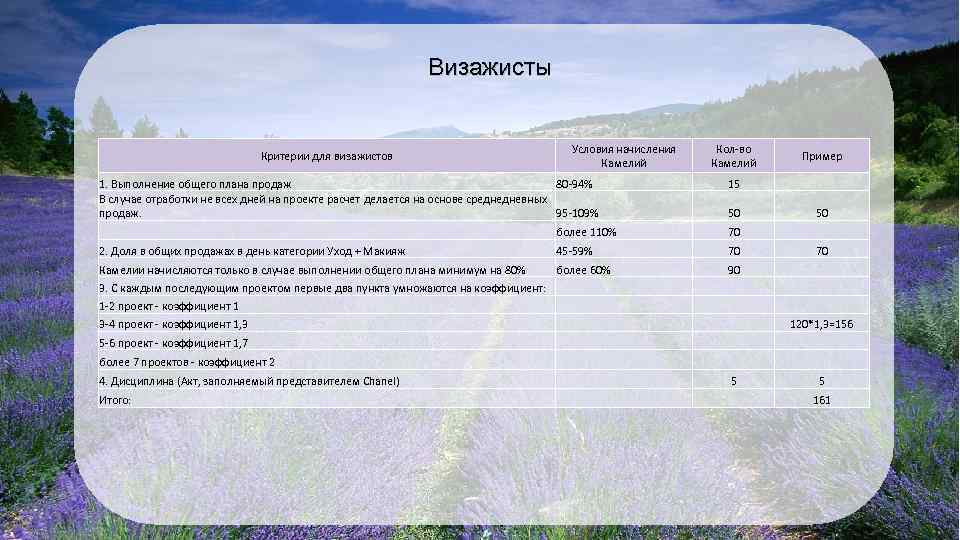 Визажисты Условия начисления Камелий Кол-во Камелий Пример 1. Выполнение общего плана продаж 80 -94%