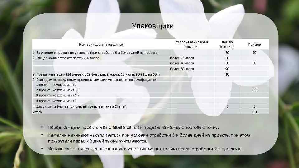 Упаковщики Критерии для упаковщиков 1. За участие в проекте по упаковке (при отработке 6