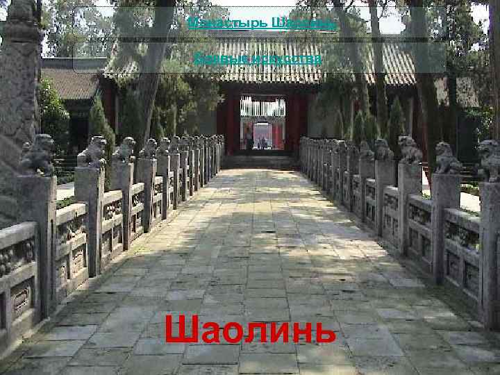  Монастырь Шаолинь Боевые искусства Шаолинь 