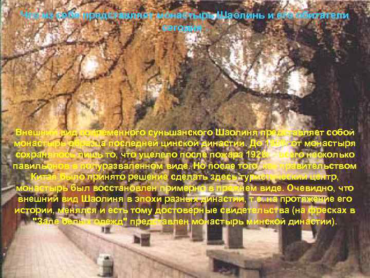 Что из себя представляет монастырь Шаолинь и его обитатели сегодня. Внешний вид современного суньшанского