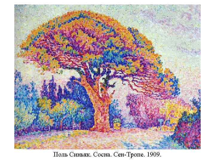 Поль Синьяк. Сосна. Сен-Тропе. 1909. 