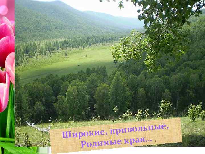 Pro. Power. Point. Ru вольные, рокие, при Ши мые края… Роди 