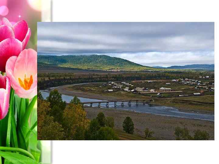 Pro. Power. Point. Ru 