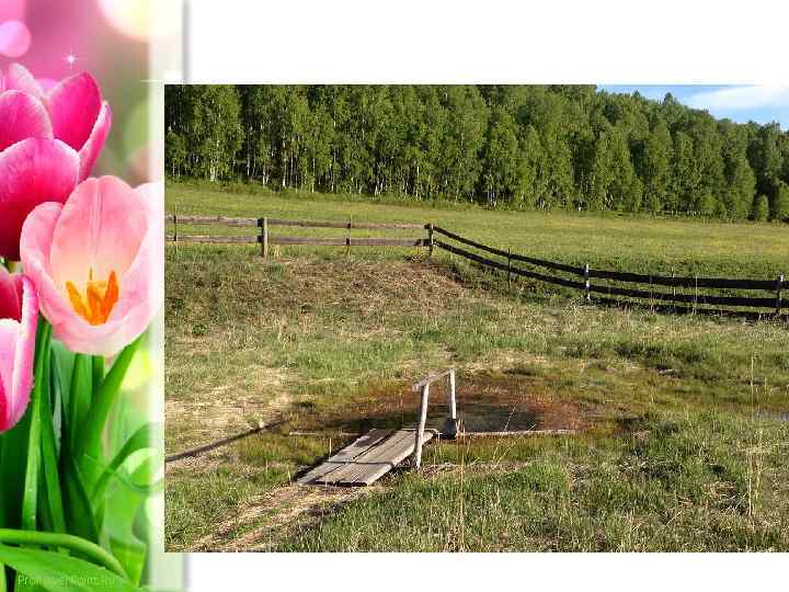 Pro. Power. Point. Ru 