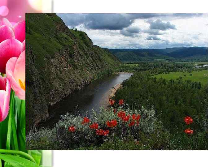 Pro. Power. Point. Ru 