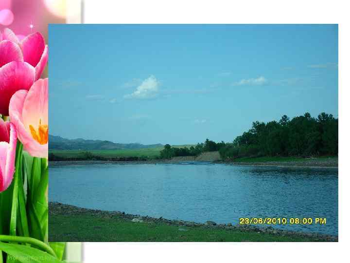 Pro. Power. Point. Ru 