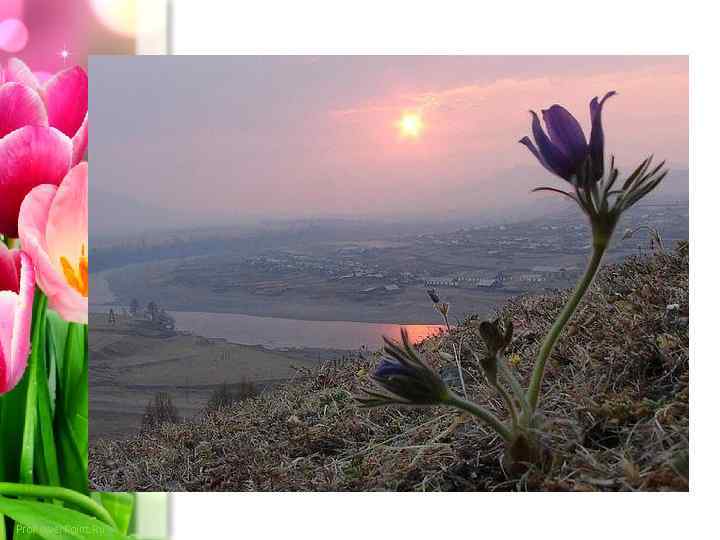 Pro. Power. Point. Ru 