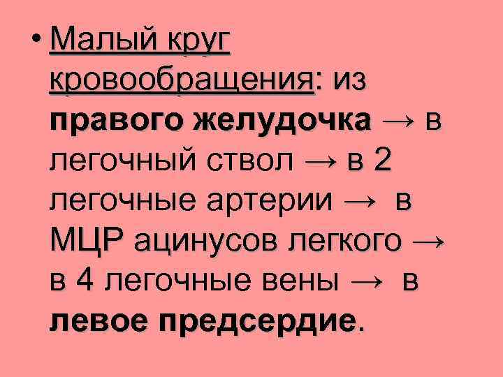  • Малый круг кровообращения: из правого желудочка → в легочный ствол → в