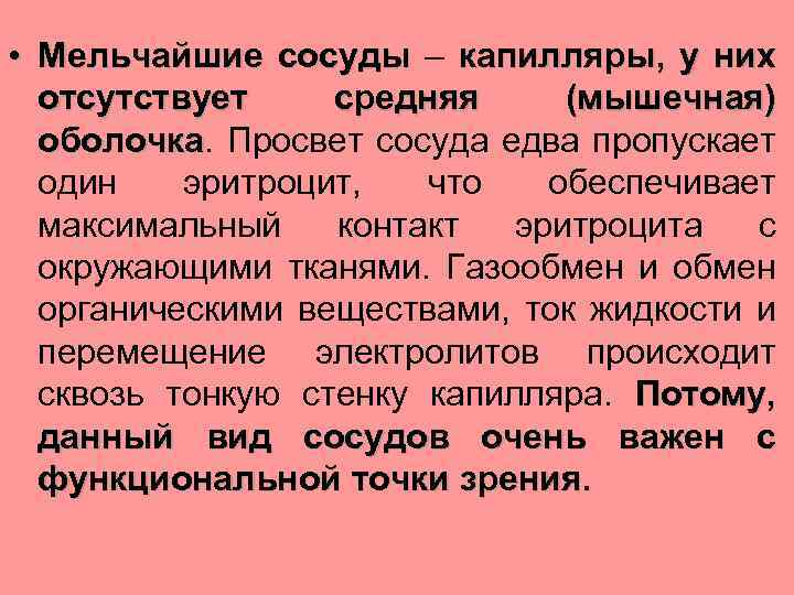  • Мельчайшие сосуды – капилляры, у них отсутствует средняя (мышечная) оболочка. Просвет сосуда