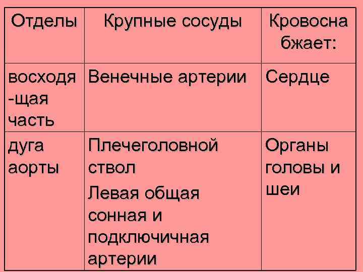 Отделы восходя -щая часть дуга аорты Крупные сосуды Кровосна бжает: Венечные артерии Сердце Плечеголовной