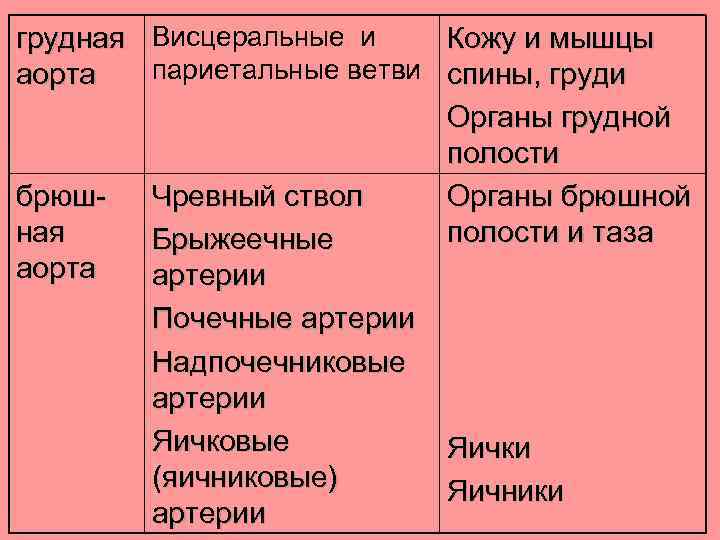 грудная Висцеральные и Кожу и мышцы париетальные ветви спины, груди аорта Органы грудной полости