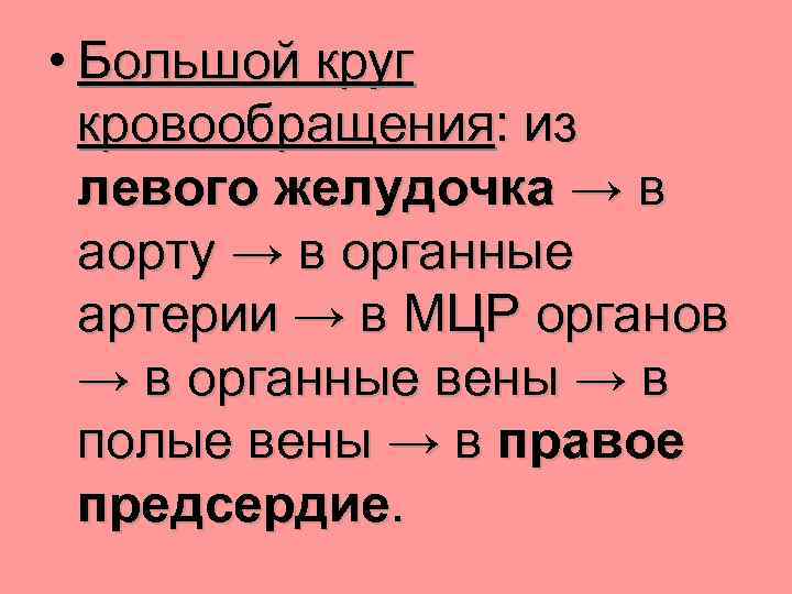  • Большой круг кровообращения: из левого желудочка → в аорту → в органные