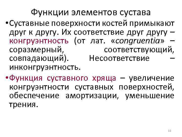 Функции элементов сустава • Суставные поверхности костей примыкают друг к другу. Их соответствие другу