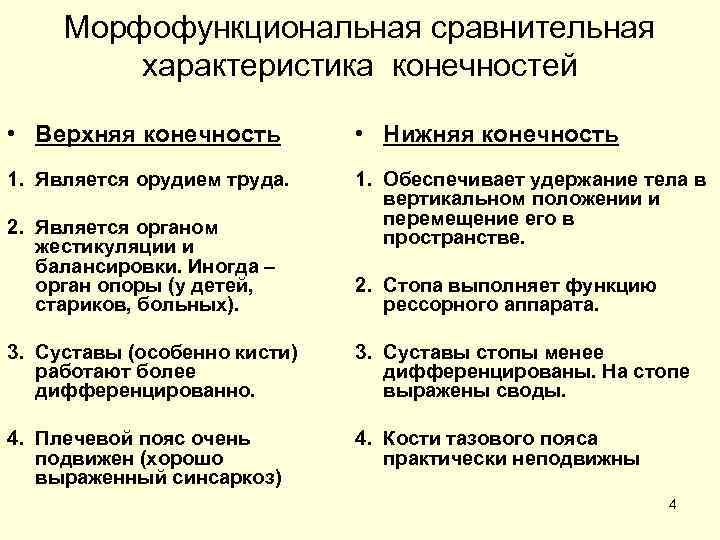 Морфофункциональная сравнительная характеристика конечностей • Верхняя конечность • Нижняя конечность 1. Является орудием труда.
