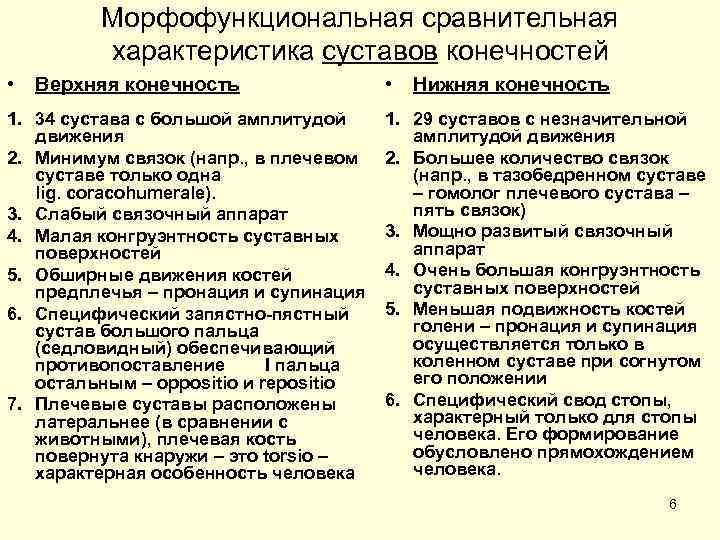 Морфофункциональная сравнительная характеристика суставов конечностей • Верхняя конечность 1. 34 сустава с большой амплитудой