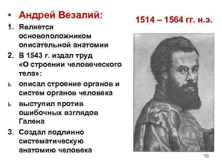  • Андрей Везалий: 1. Является основоположником описательной анатомии 2. В 1543 г. издал