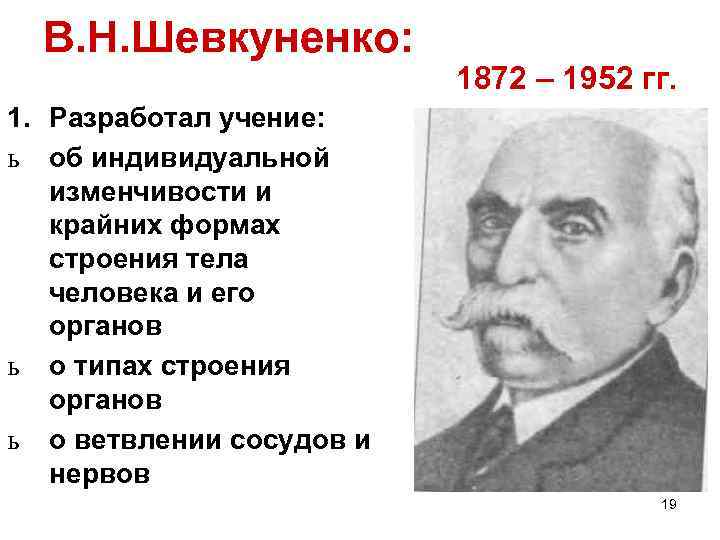 В. Н. Шевкуненко: 1872 – 1952 гг. 1. Разработал учение: ь об индивидуальной изменчивости