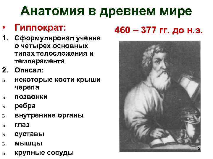 Анатомия в древнем мире • Гиппократ: 1. Сформулировал учение о четырех основных типах телосложения