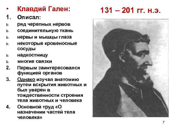  • Клавдий Гален: 1. Описал: ь ь ряд черепных нервов соединительную ткань нервы