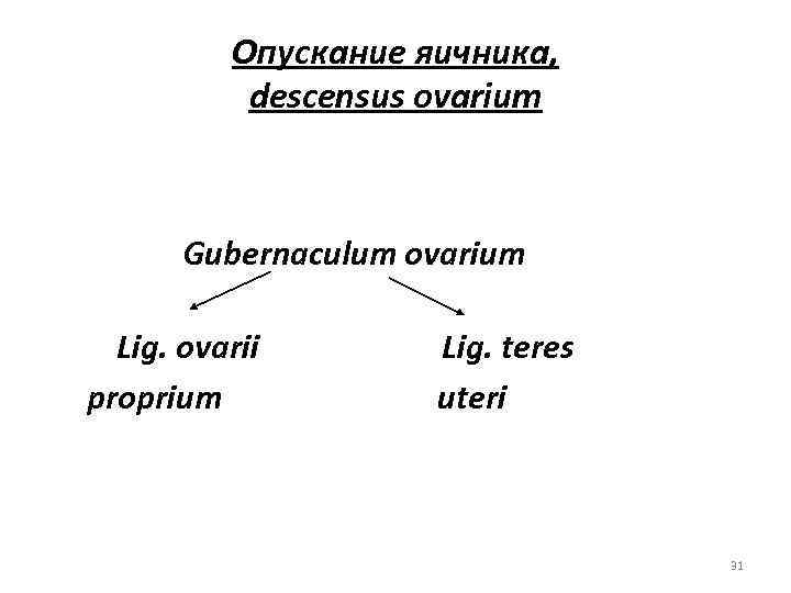 Опускание яичника, descensus ovarium Gubernaculum ovarium Lig. ovarii proprium Lig. teres uteri 31 