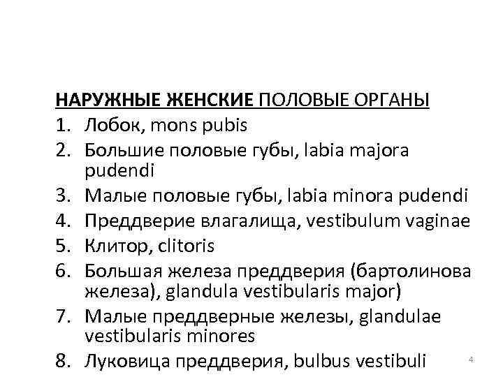 НАРУЖНЫЕ ЖЕНСКИЕ ПОЛОВЫЕ ОРГАНЫ 1. Лобок, mons pubis 2. Большие половые губы, labia majora