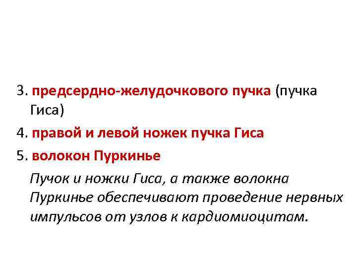 3. предсердно-желудочкового пучка (пучка Гиса) 4. правой и левой ножек пучка Гиса 5. волокон