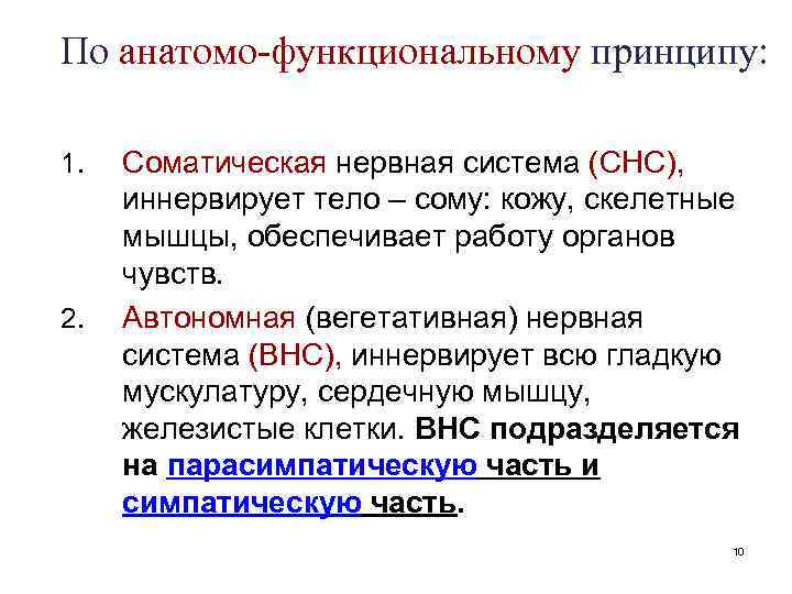 По анатомо-функциональному принципу: 1. 2. Соматическая нервная система (СНС), иннервирует тело – сому: кожу,