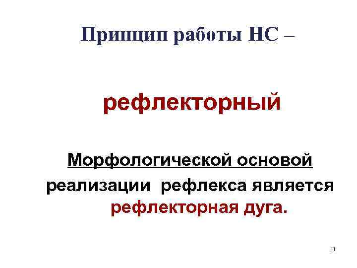 Принцип работы НС – рефлекторный Морфологической основой реализации рефлекса является рефлекторная дуга. 11 