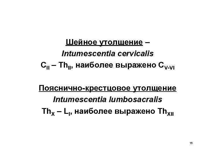 Шейное утолщение – Intumescentia cervicalis CII – Th. II, наиболее выражено СV-VI Пояснично-крестцовое утолщение