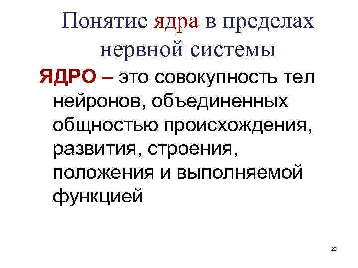 Понятие ядра в пределах нервной системы ЯДРО – это совокупность тел нейронов, объединенных общностью