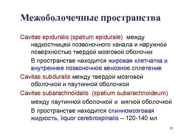 Межоболочечные пространства Cavitas epiduralis (spatium epidurale) между надкостницей позвоночного канала и наружной поверхностью твердой