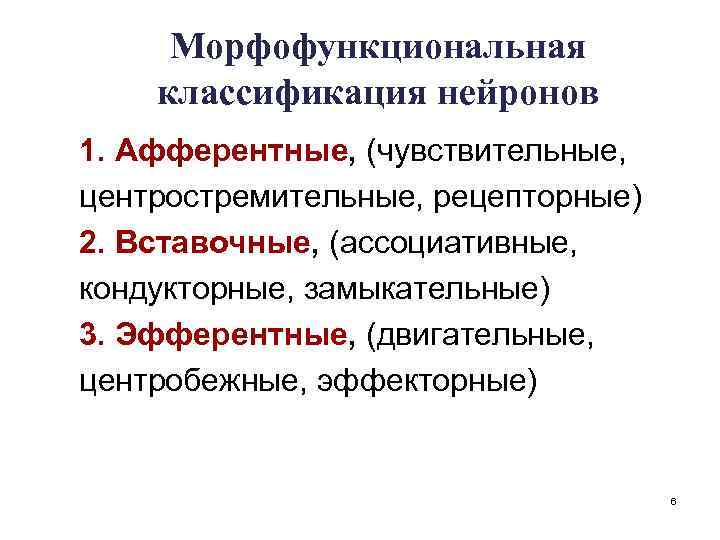 Морфофункциональная классификация нейронов 1. Афферентные, (чувствительные, центростремительные, рецепторные) 2. Вставочные, (ассоциативные, кондукторные, замыкательные) 3.