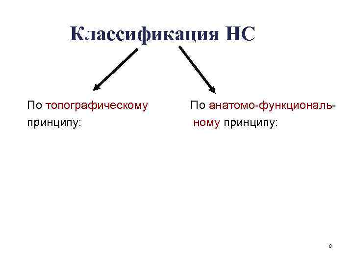 Классификация НС По топографическому принципу: По анатомо-функциональному принципу: 8 